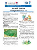 Sản xuất sạch hơn cho ngành sản xuất cói